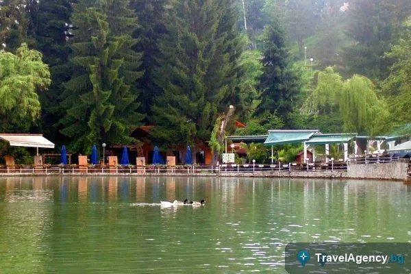 Зеленина и алеи красят курортните квартали на Велинград