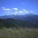 Амбарица