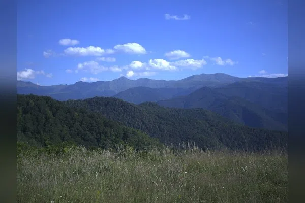 Амбарица