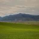 Беглика