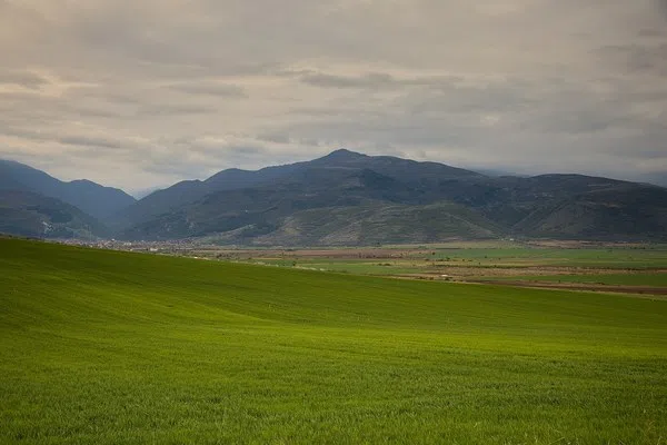 Беглика
