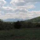 Белимел