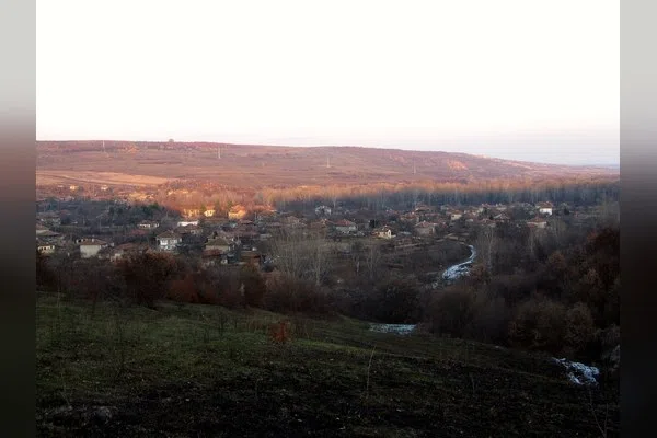 Държаница