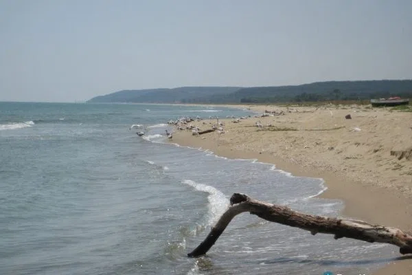 Пуст пясъчен плаж с рибарска лодка и чайки край устието на Камчия