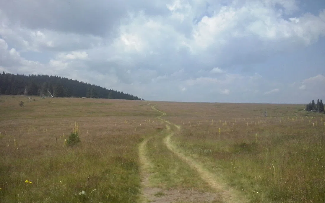 Голям Снежник
