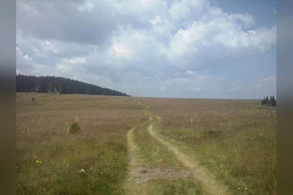 Голям Снежник