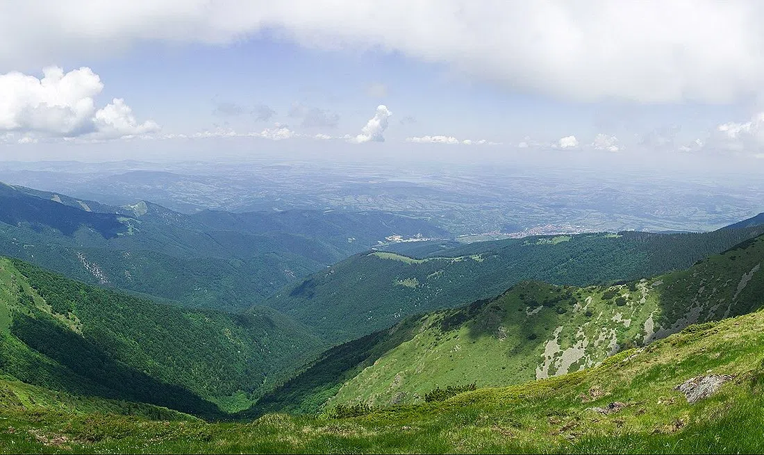 Ком