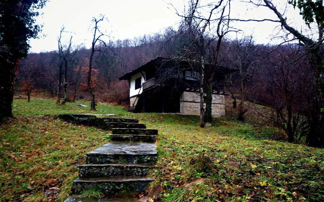 Койнаре
