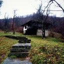 Койнаре