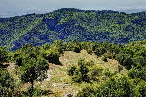 Лещен