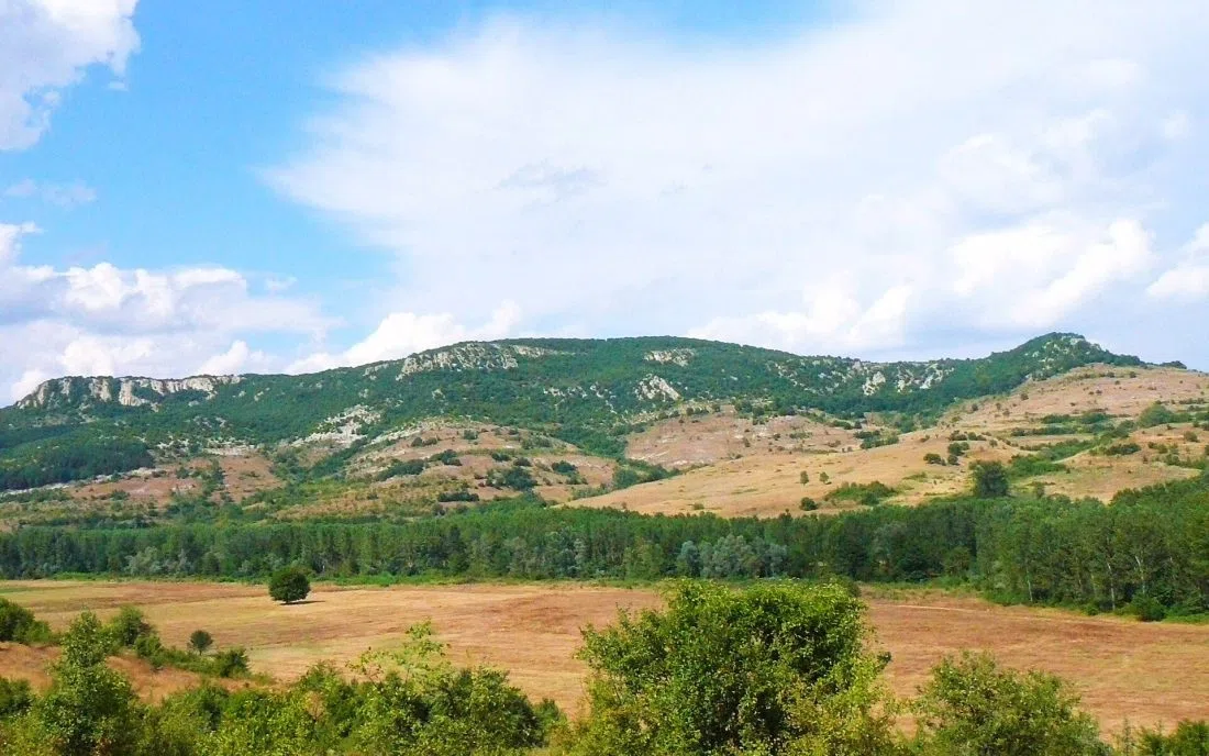 Модър