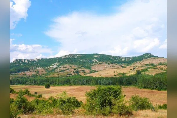 Модър