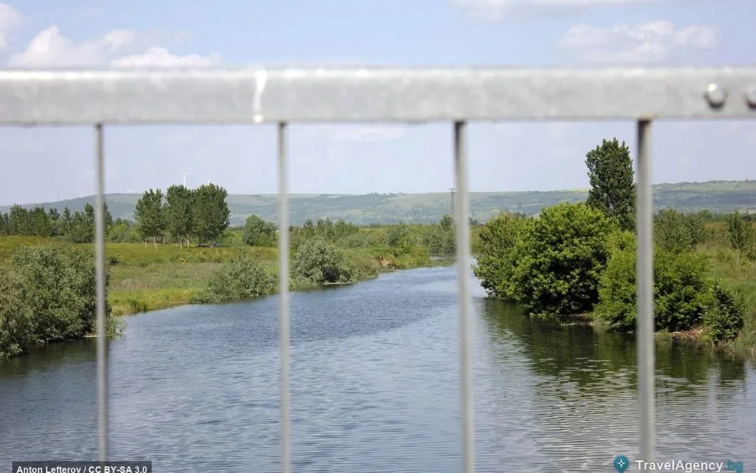 Спокойните води на река Вит сред крайбрежна зеленина край Гулянци