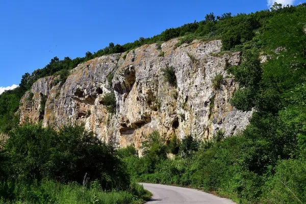 Сеново