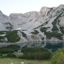 Синаница