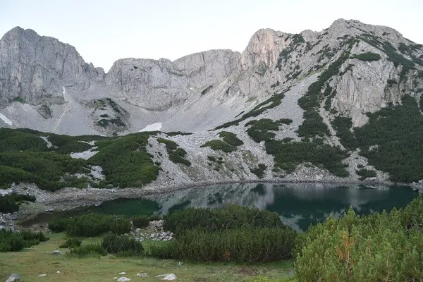 Синаница