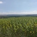 Байлово