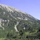 Тодорка