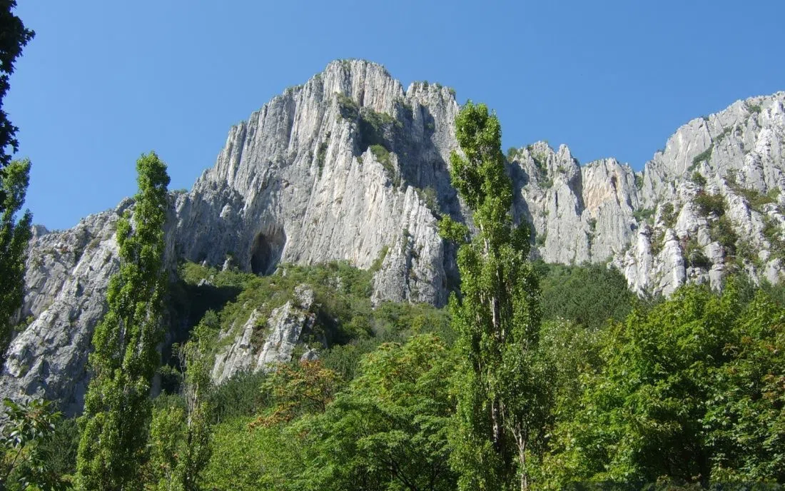 Враца