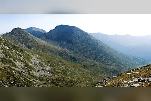 Яловарника