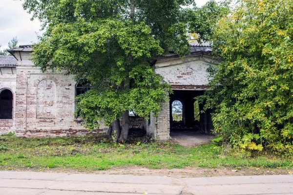 Боровица: снимка 5