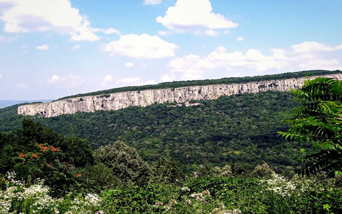 Гара Орешец
