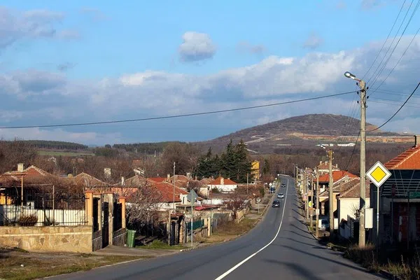 Ракитница