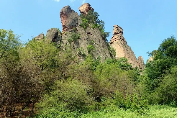 Раяновци