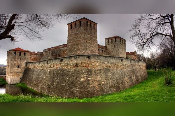Синаговци