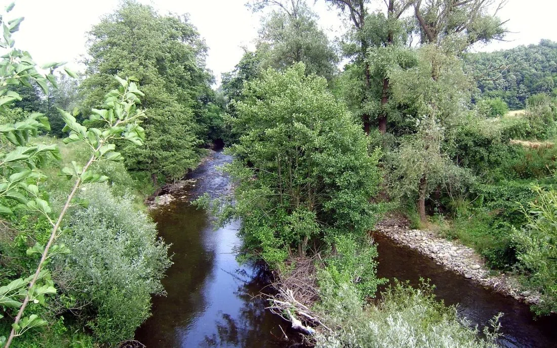 Стакевци